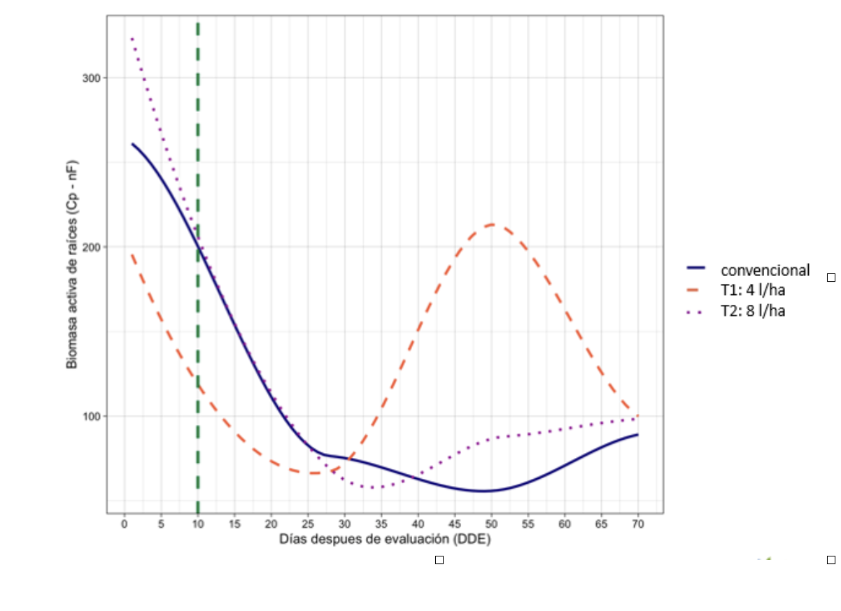 Gráfico de líneas de biomasa radicular activa (Cp) frente a días después de la evaluación (DDE), comparando la curva convencional (no tratado) con los tratamientos T1 (4 l/ha) y T2 (8 l/ha); las curvas tratadas se separan por encima de la convencional desde etapas tempranas del ciclo, mucho antes de una diferencia visible en superficie.