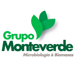 Grupo Monteverde